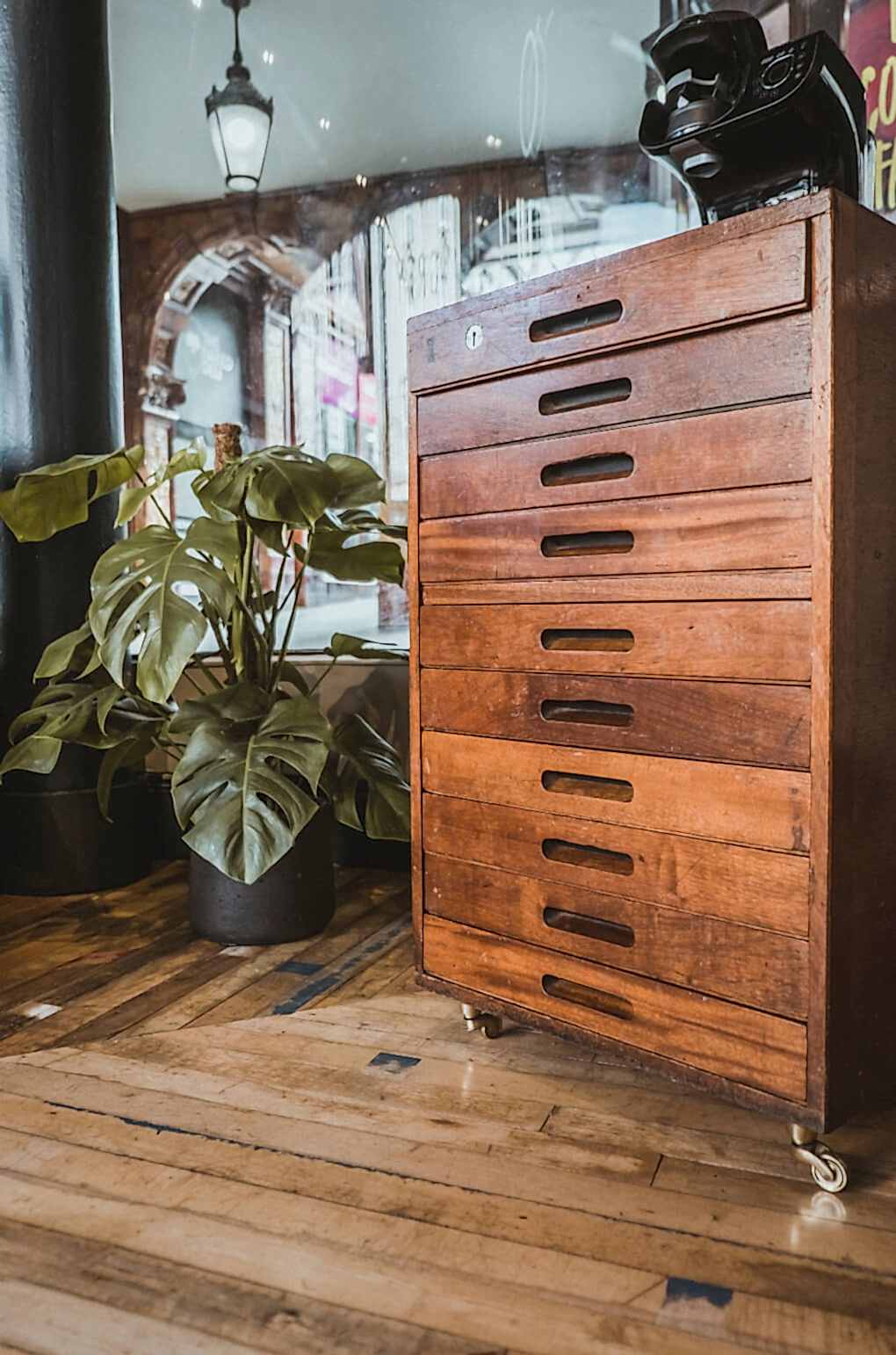 Vintage wooden cabinet with drawers at Grey Street Opticians with monstera plant beside 