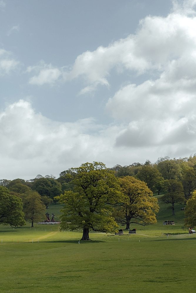 Open parkland with mature trees in summer looking up the slope. Cross-country horse jumps are visible.   