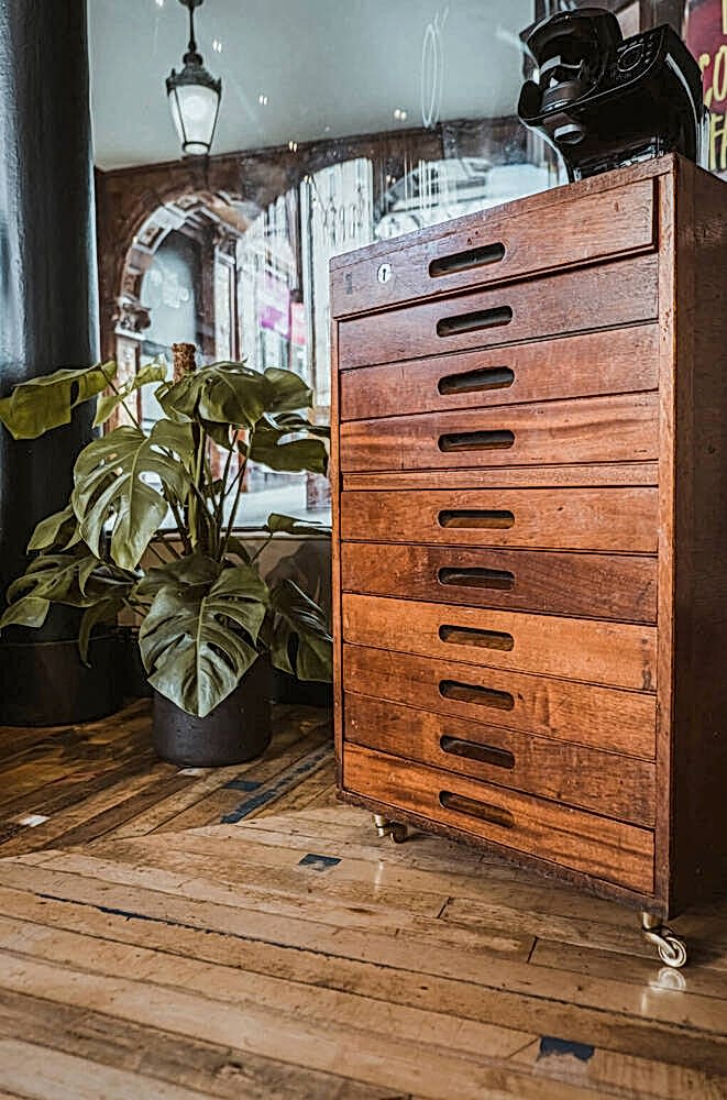 Vintage wooden cabinet with drawers at Grey Street Opticians with monstera plant beside & reclaimed sports hall floorboards.